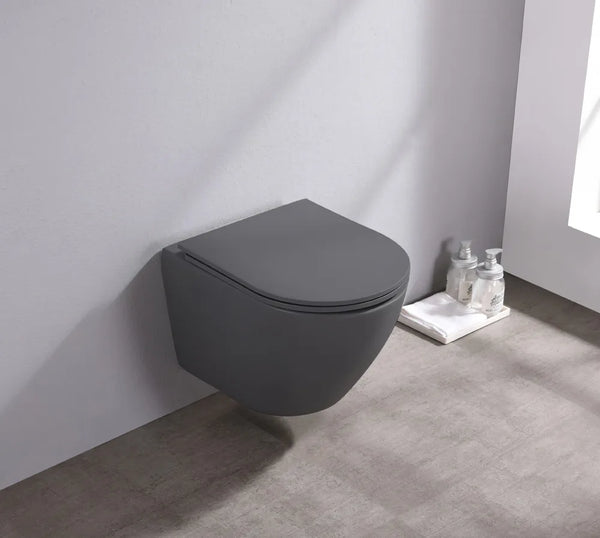 Saniclear Itsie mat antraciete toiletpot randloos met softclose zitting